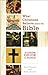 What Christians Believe about the Bible: A Concise Guide for Students