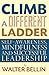 Climb a Different Ladder: Self-awareness, mindfulness and successful leadership