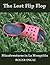 The Lost Flip Flop (Misadve...