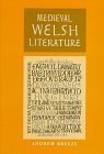 Medieval Welsh Literature (Hardcover)