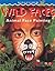 Wild Faces