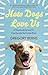 How Dogs Love Us by Gregory Berns
