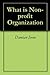 What is Non-profit Organization?