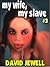 My Wife, My Slave - Book 3 