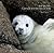 Seal Secrets: Cornwall and the Isles of Scilly
