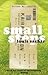 Small Steps by Louis Sachar