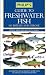 Guide to Freshwater Fish of...