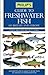 Guide to Freshwater Fish of Britain and Europe