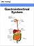 Gastrointestinal System (Hu...