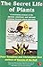 The Secret Life of Plants [Jan 01, 2004] Tompkins, Peter by Peter Tompkins