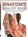 Anatomy Of Healthy Back
