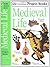 Medieval Life (Eyewitness Project Books)