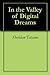 In the Valley of Digital Dreams (Silicon Valley - Japan Tech History Book 1)