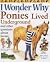 I Wonder Why Ponies Lived U...