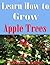 Learn How to Grow Apple Trees