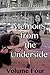 Memoirs from the Underside, Volume Four by Rachel Heath