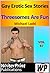 Gay Erotic Sex Stories - Threesomes Are Fun by Michael Ladd