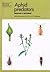 Aphid Predators: Insects That Eat Greenfly (Naturalists' Handbook 11)