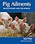 Pig Ailments: Recognition and Treatment