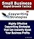 Copy Writing Strategies | How To Write Profit Pulling Sales Copies That Generate Sales Fast (Small Business Rapid Growth Tactics Book 3)
