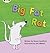 Phonics Bug Big Fat Rat Phase 2