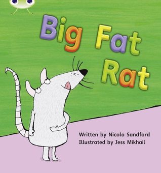 Phonics Bug Big Fat Rat Phase 2 (Paperback)