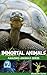 Immortal Animals - Amazing ...