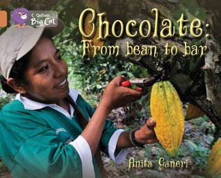 Chocolate: From Bean to Bar (Paperback)