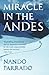 Miracle in The Andes