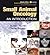 Small Animal Oncology E-Book