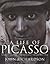 Life Of Picasso V 3
