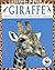 Giraffe: Habitats, Life Cycles, Food Chains, Threats (Natural World)
