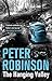 The Hanging Valley (The Inspector Banks series)
