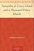 Samantha at Coney Island and a Thousand Other Islands