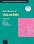 Oxford Textbook of Vasculitis (Oxford Textbooks in Rheumatology)