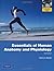 Essentials of Human Anatomy and Physiology with Essentials of Interactive Physiology CD-ROM/MasteringA&P with Pearson eText -- Valuepack Access Card ... of Human Anatomy & Physiology (ME Component)