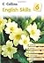 Book 6 (Collins English Skills)