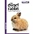 The Dwarf Rabbit - Good Pet Guide