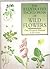 The Illustrated Encyclopedia of Wild Flowers: Over 450 Species Illustrated in Full Colour