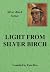 Light from Silver Birch