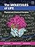 The Molecules of Life: Phys...