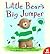 Little Bear's Big Jumper by David Bedford