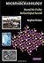 Microarchaeology: Beyond the Visible Archaeological Record