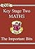 Key Stage Two Mathematics: "the Important Bits"