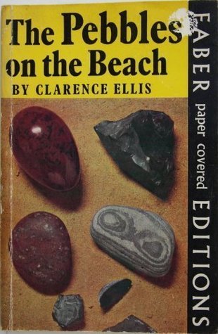 The Pebbles On The Beach (Paperback)