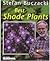 Best Shade Plants