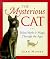 The Mysterious Cat: Feline ...
