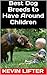 Best Dog Breeds to Have Around Children by Kevin Lifter