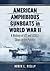 American Amphibious Gunboat...