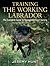 Training The Working Larbador by Jeremy Hunt